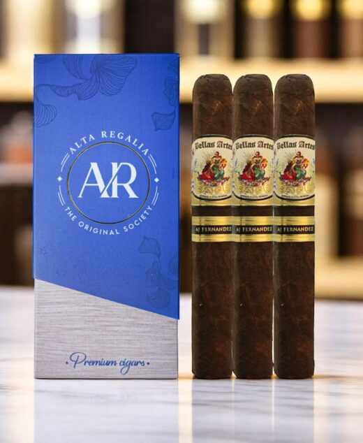 AJ Fernandez Bellas Artes Maduro Gordo Tripack
