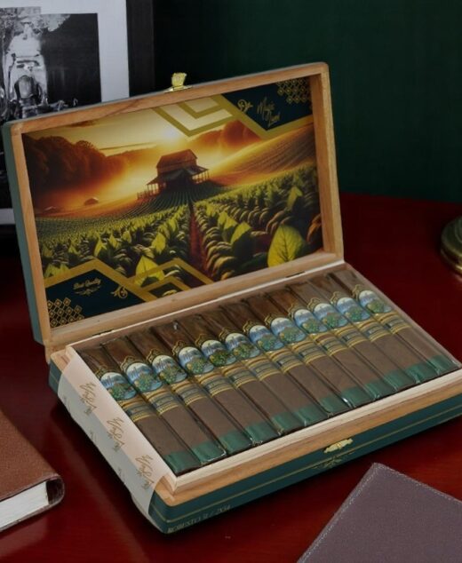 Magic Land Robusto Gordo Box Preseed x 24
