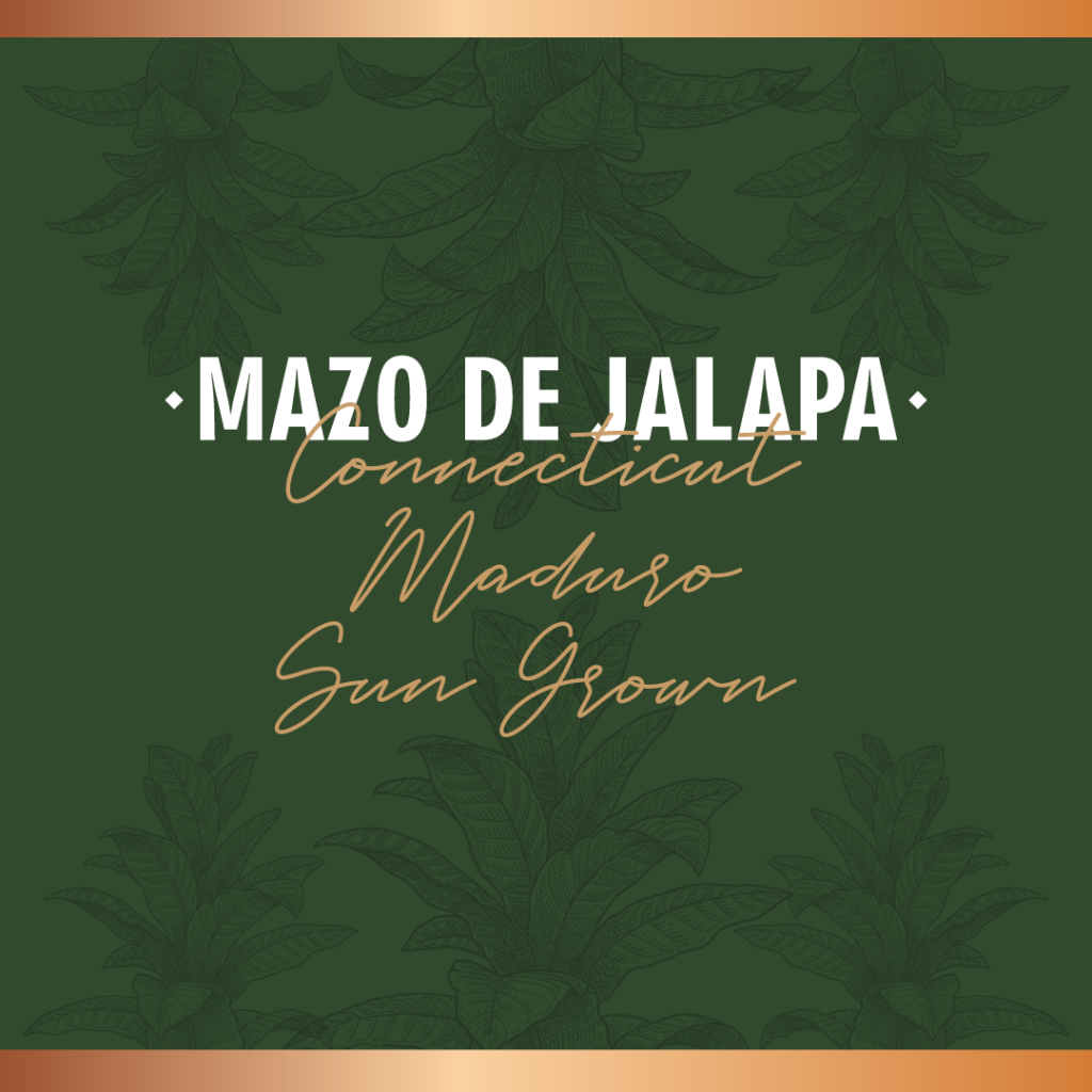 Mazo de Jalapa Sampler x 18