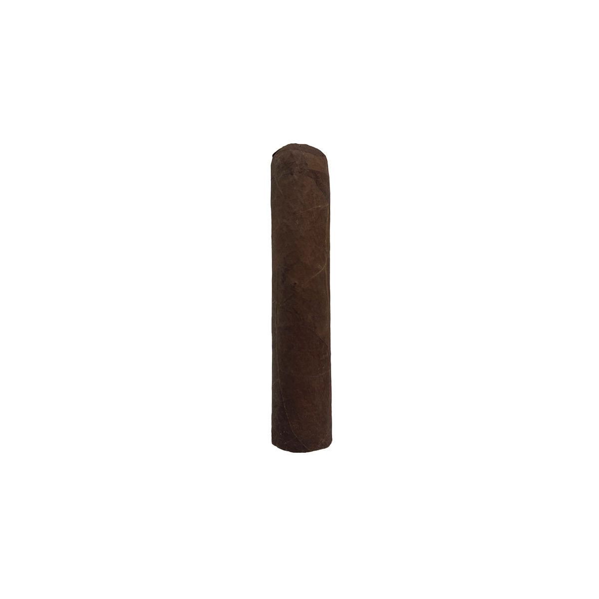 Mazo de Condega Sun Grown Petit Robusto x 15 - Imagen 2