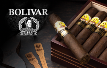 Bolivar alta regalia