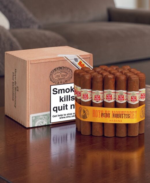 Hoyo de Monterrey Petit Robusto