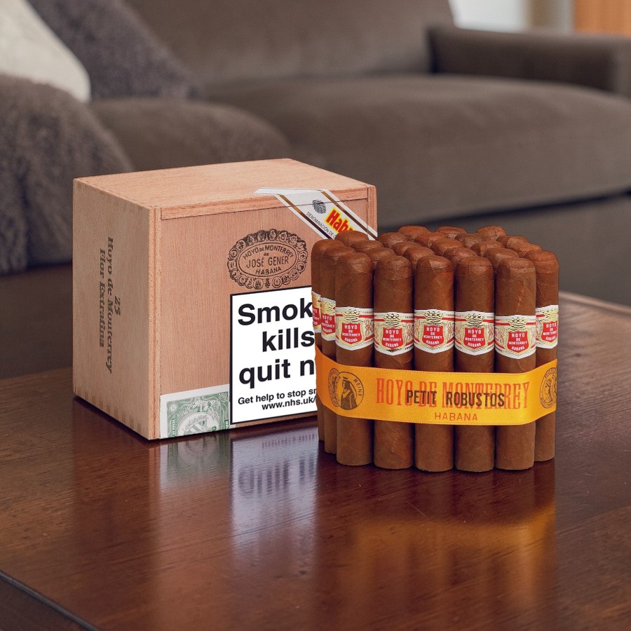Hoyo de Monterrey Petit Robusto