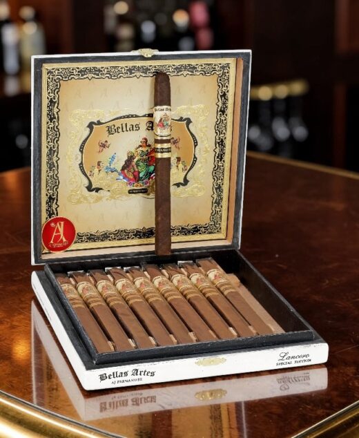 AJ Fernandez Bellas Artes Maduro Lanceros